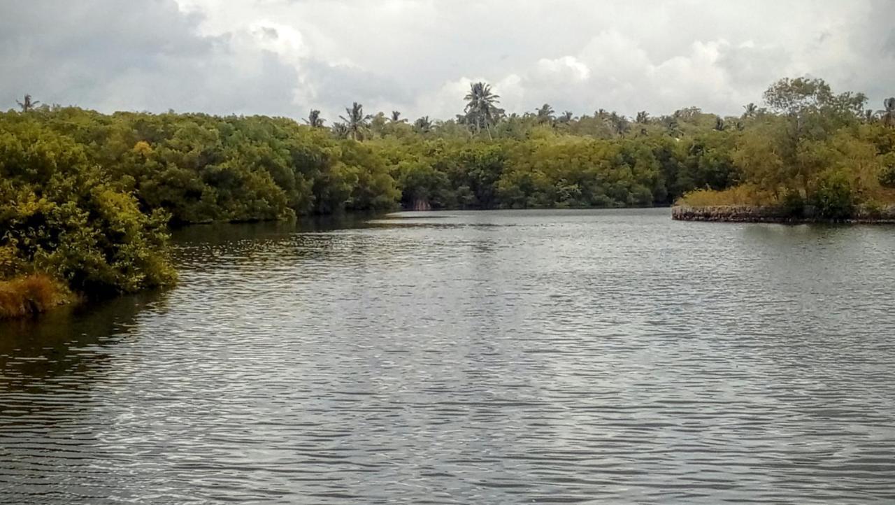 Eco Cabanas Marakolliya Tangalle Zewnętrze zdjęcie